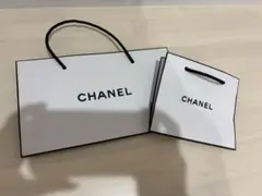 CHANEL ホワイトショップ袋 大小セット
