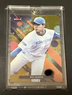 Item thumbnail for item 2b73782b-125c-41fb-8d07-e30167d041f8