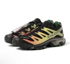 SALOMON XT-6 2025ss atmos別注カラー