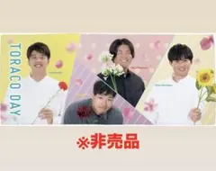 TORACO DAY タオル ポリエステル100%