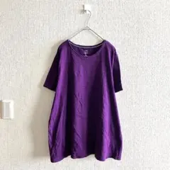 90s USA製 FRUITOFTHELOOM ダブルリブ Tシャツ リンガー - メルカリ