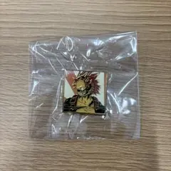 ヒロアカ 切島鋭児郎 ピンズ