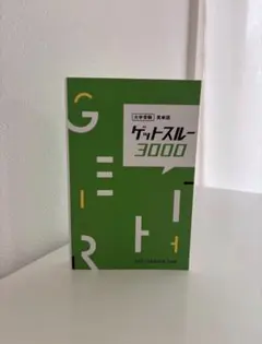 ゲットスルー3000 英単語集