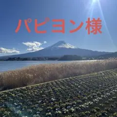 Item thumbnail for item 538a2bf8-e76c-40a7-8b54-3cf807d38a32