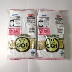 GUNZE グンゼ スパンブリーフ 前あき 4枚組 Lサイズ