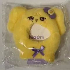 IVE レイ ナオリ ペンライトカバー - メルカリ