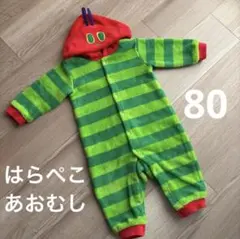 【2回着用】はらぺこあおむし　なりきり　着ぐるみ　コスチューム　衣装　80㎝