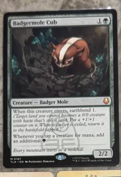 MTG アナグマモグラの仔 Badgermole Cub 英語版　ノンフォイル フルアート)アナグマモグラの仔/Badgermole Cub《英語》【TLA】