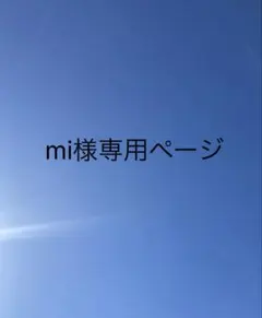 mi様 リクエスト 2点 まとめ商品