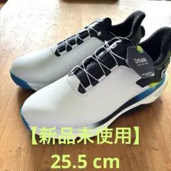 フットジョイ 25.5