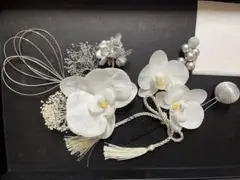 ミニ胡蝶蘭 髪飾り 卒業式 成人式 結婚式 和装 前撮り 水引 銀箔　タッセル