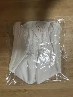 クラウディアthe D ホワイト コルセット ブライダルインナー　グラマーサイズ