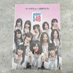 新品　AKB48 クリアファイルのサムネイル