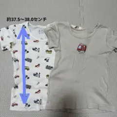 Item thumbnail for item f3d62991-c74f-48e9-863b-4055d071cd22