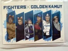 北海道日本ハムファイターズ×ゴールデンカムイコラボ　EC受注限定ポストカード