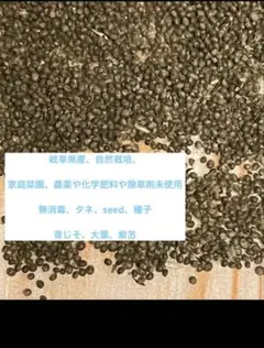 monnkiti様 リクエスト 2点 まとめ商品