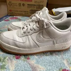 NIKE エアフォース1 ゴアテックス