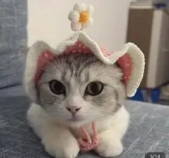 Item thumbnail for item 4a82204a-e079-409e-87d7-b3c69eacdfc1