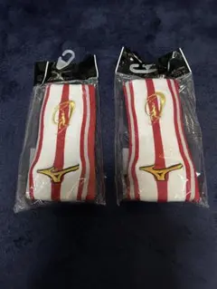 Item thumbnail for item 0ae1d3e1-cdd7-4994-9683-5dcc7873e3e1