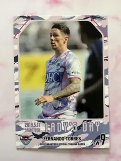 フェルナンド トーレス Jリーグ サガン鳥栖 レギュラーカード⑤