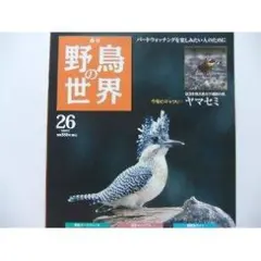 週刊野鳥の世界全121巻揃い　ティアゴスティニ発行　定価70180円 美品 週刊野鳥の世界全121巻揃い ティアゴスティニ発行 定価70180円 美