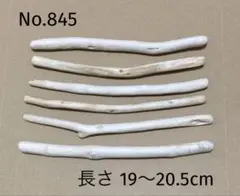 海の流木 No.845 長さ 20cm前後 まとめ売り 6本