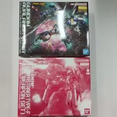 MG アヴァランチエクシア＆アストレア2点セット - メルカリ