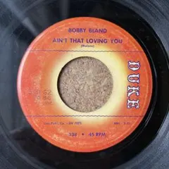 2026年最新】bobby blandの人気アイテム - メルカリ