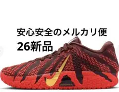 【新品】NIKE ja3 ナイキ ジャ3 ルナニューイヤー　EP