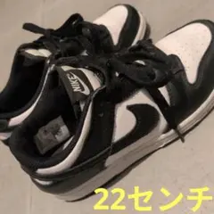 22センチ　DUNK　ナイキ　スニーカー