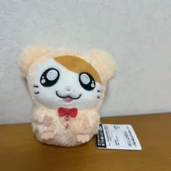 とっとこハム太郎　ぬいぐるみ~みんなでパジャマパーティーなのだ~