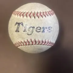 Item thumbnail for item e6ae2235-7998-4bf9-90dc-ab49cd8abec6