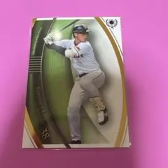 Item thumbnail for item b3448864-0b9e-4d8d-9966-0709beae43bc