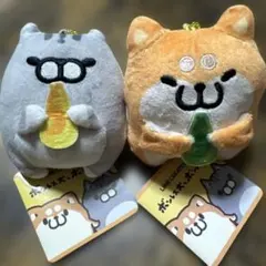 ボンレス犬とボンレス猫