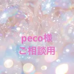 peco様専用 オーダーメイド ☆ フェルト