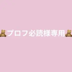 プロフ必読様専用ページ⸝⸝꙳