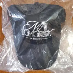 Item thumbnail for item 93335d6b-37f9-48e4-874b-ba6c1320fc13