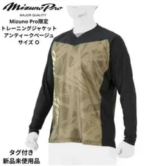 Item thumbnail for item e7561962-da99-4f92-8849-e9c311f0febf