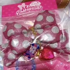 ④新品　キーチェーン　2026 シークレット　ミニー ディズニー パルパルーザ