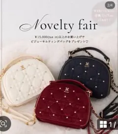 ナイスクラップ　ノベルティ　バッグ