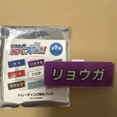 超特急のふじびじスクール！ トレーディング名札バッジ リョウガ
