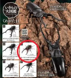 Mあみ様 リクエスト 2点 まとめ商品