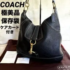 極美品COACH コーチ ワンショルダーバッグ ブラック レザー シボ革 y2k