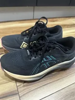 アシックス GT-2000 12 GTX (ゴアテックス) サイ24cm