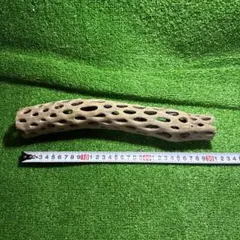 Item thumbnail for item 4e882a21-c3ae-432c-9b56-1fb36986c806