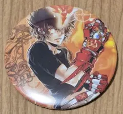 家庭教師ヒットマンREBORN! コレクション缶バッジ 綱吉 ツナ