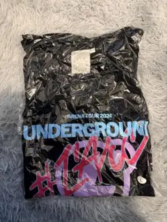 Item thumbnail for item 302ee95a-8932-4c05-b726-d5980fd5fef3