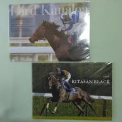 『 Lord Kanaloa & Kitasan Black』 クリアファイル