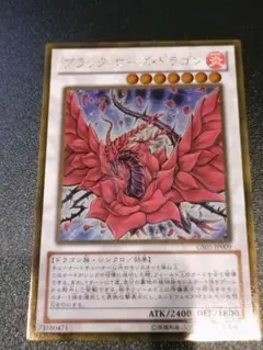 ブラック・ローズ・ドラゴン