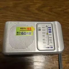 Item thumbnail for item 8a5a8e3c-1345-443e-ac2a-d44b92f86767